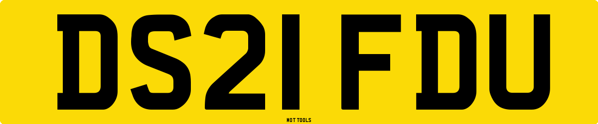 DS21FDU MOT Check