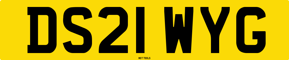 DS21WYG MOT Check