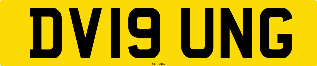 DV19UNG MOT Check