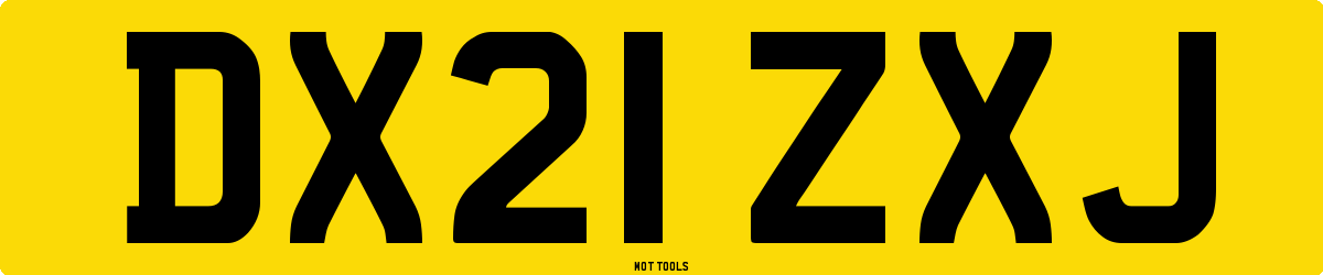 DX21ZXJ MOT Check