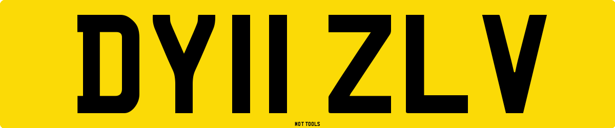 DY11ZLV MOT Check