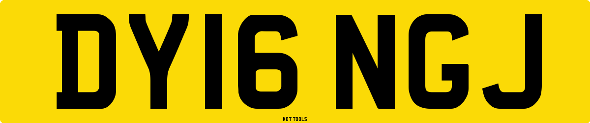 DY16NGJ MOT Check