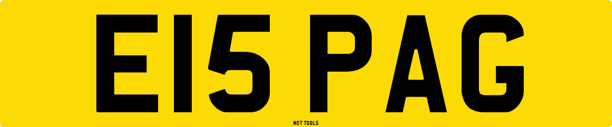 E15PAG MOT Check