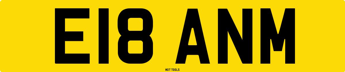 E18ANM MOT Check