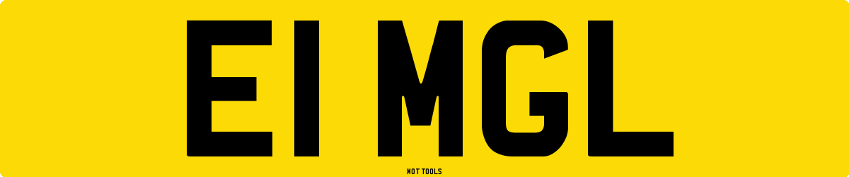 E1MGL MOT Check