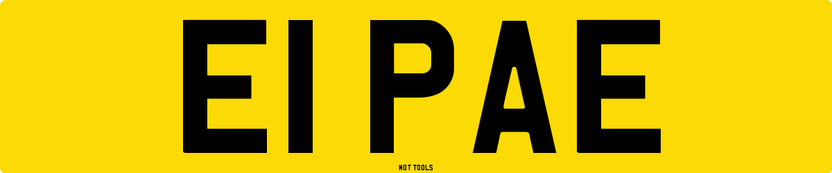 E1PAE MOT Check
