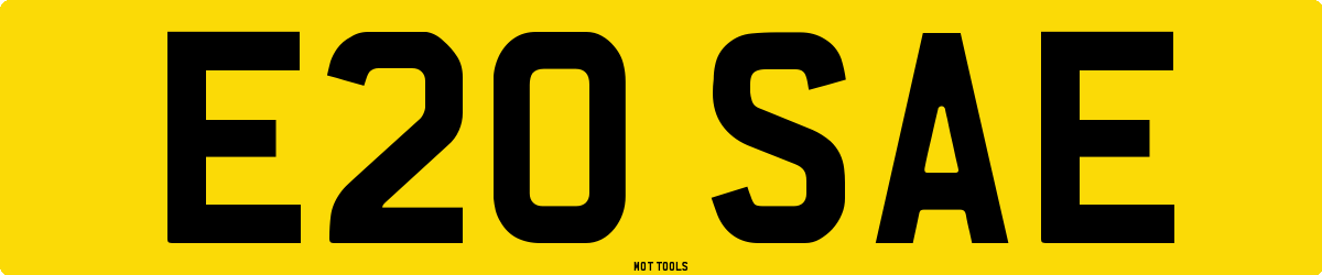E20SAE MOT Check