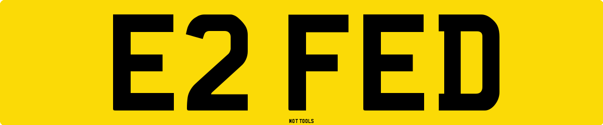 E2FED MOT Check