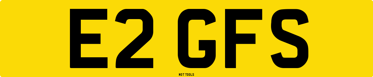 E2GFS MOT Check