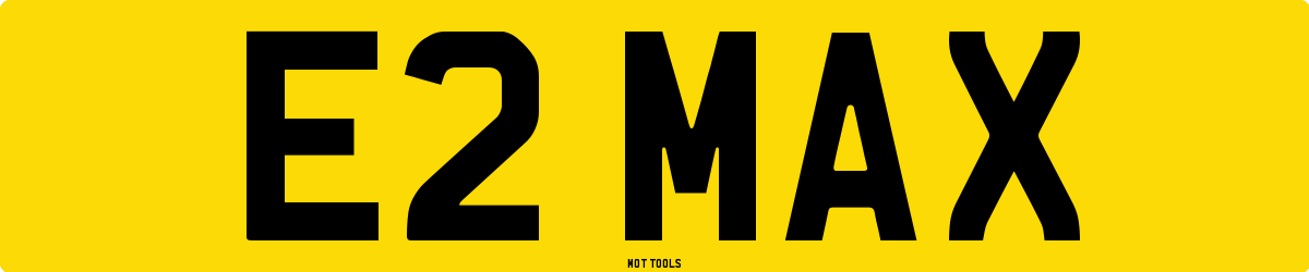 E2MAX MOT Check