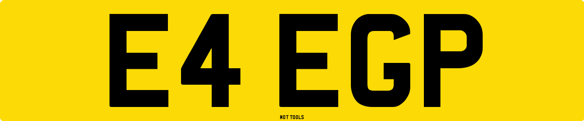 E4EGP MOT Check