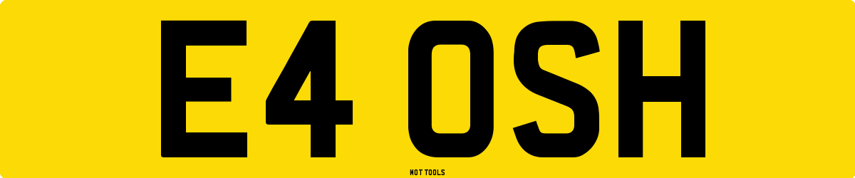 E4OSH MOT Check