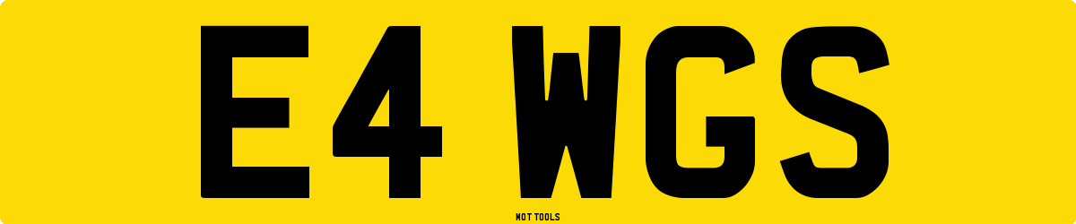 E4WGS MOT Check