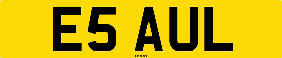 E5AUL MOT Check