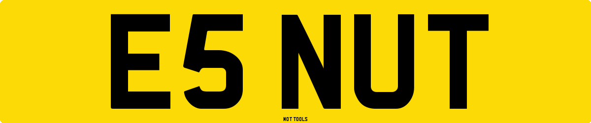 E5NUT MOT Check