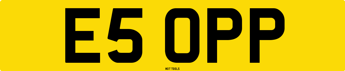 E5OPP MOT Check