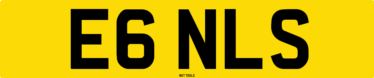 E6NLS MOT Check
