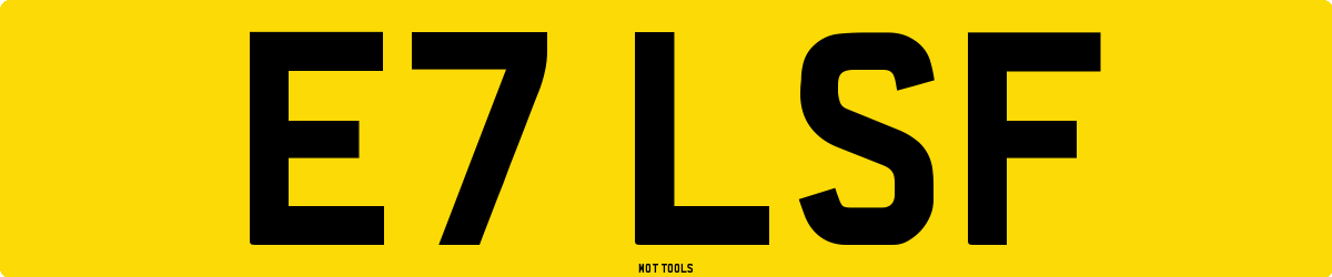 E7LSF MOT Check
