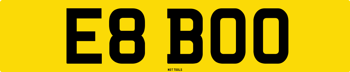 E8BOO MOT Check