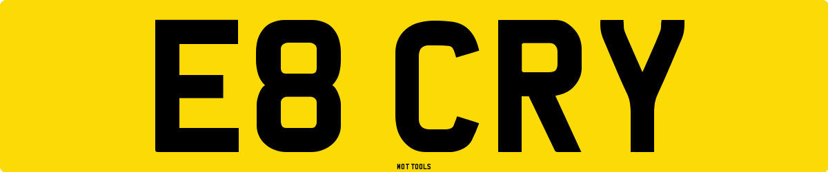 E8CRY MOT Check