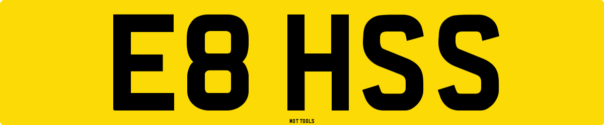 E8HSS MOT Check