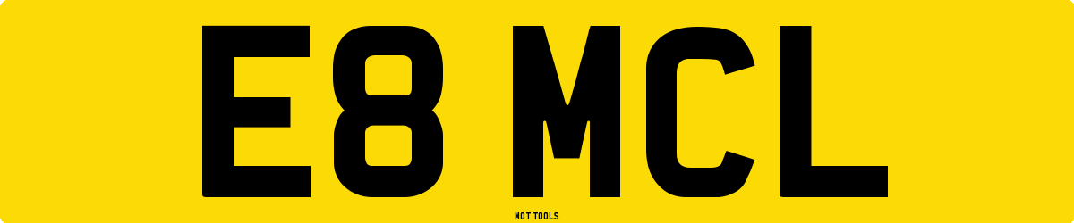 E8MCL MOT Check