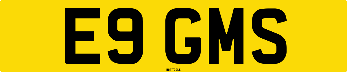 E9GMS MOT Check