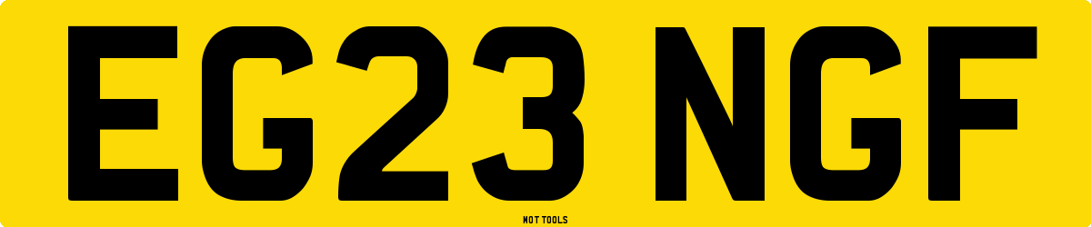 EG23NGF MOT Check