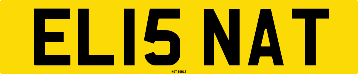 EL15NAT MOT Check