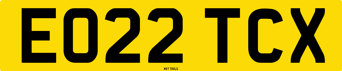 EO22TCX MOT Check