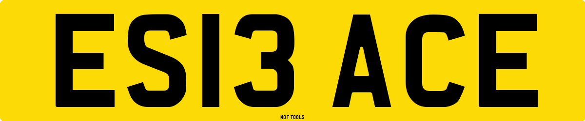 ES13ACE MOT Check