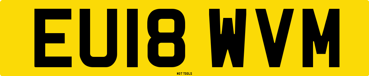 EU18WVM MOT Check