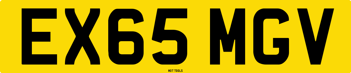 EX65MGV MOT Check