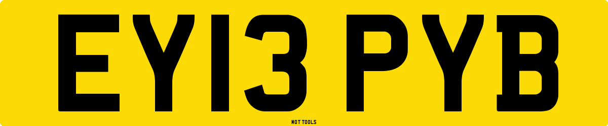 EY13PYB MOT Check