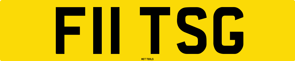 F11TSG MOT Check