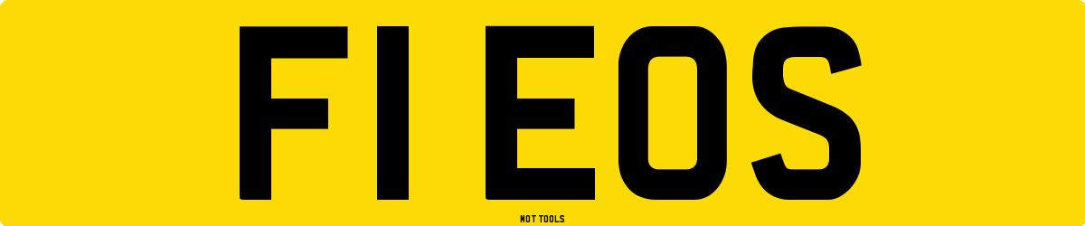 F1EOS MOT Check
