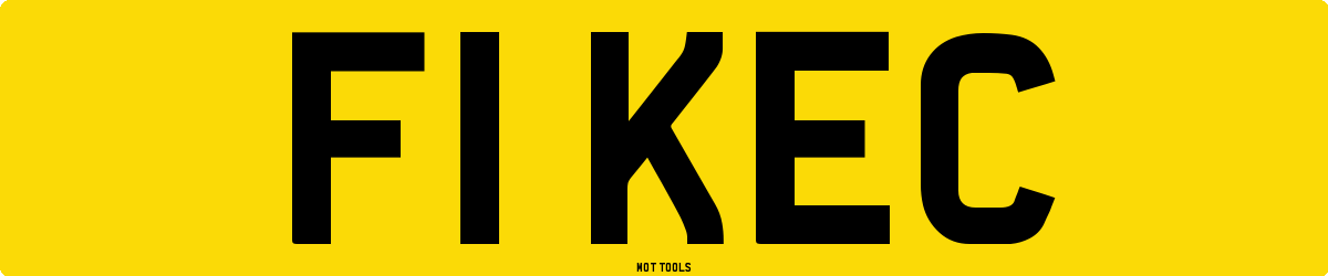 F1KEC MOT Check