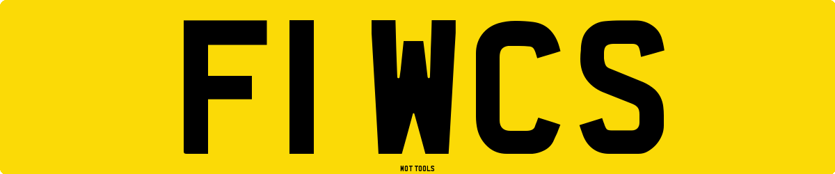 F1WCS MOT Check