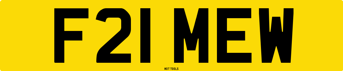 F21MEW MOT Check
