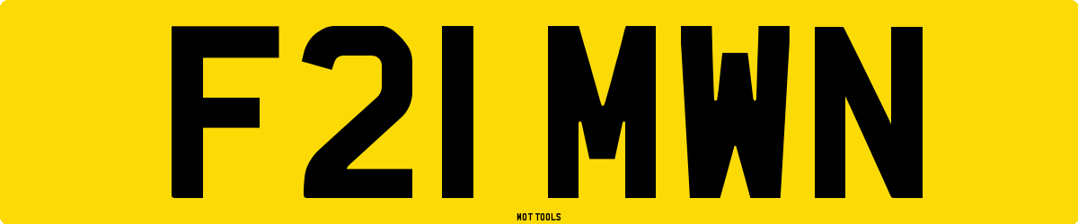 F21MWN MOT Check
