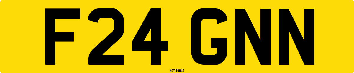 F24GNN MOT Check