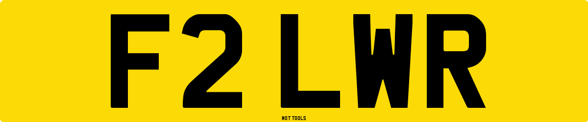 F2LWR MOT Check
