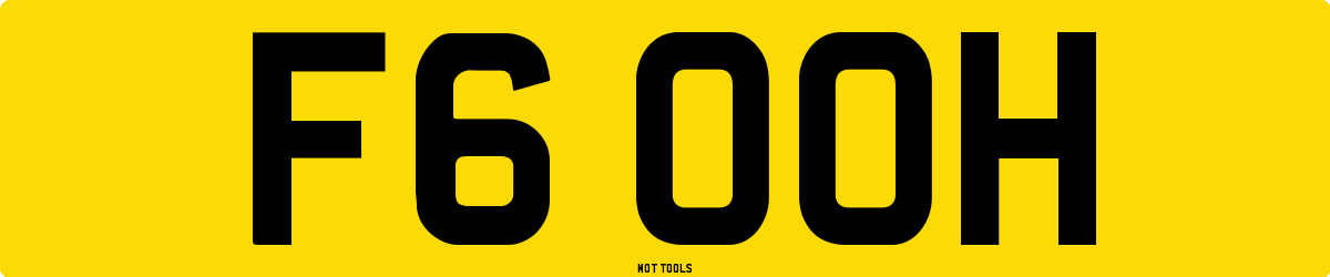 F6OOH MOT Check