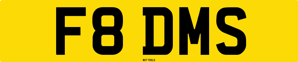 F8DMS MOT Check