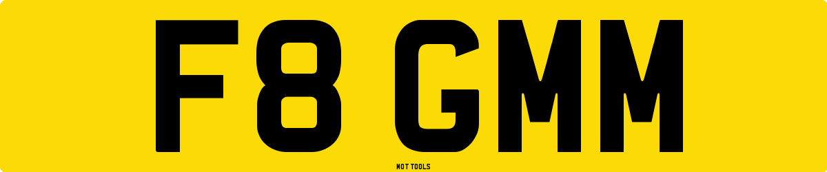F8GMM MOT Check
