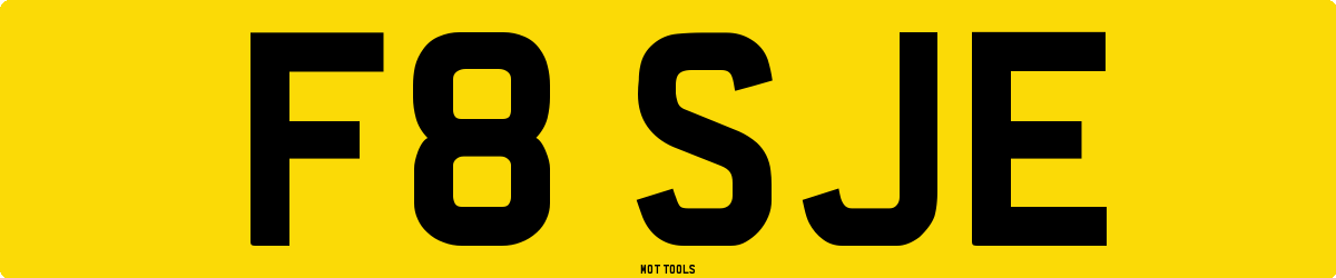 F8SJE MOT Check