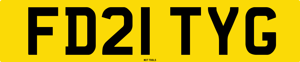 FD21TYG MOT Check