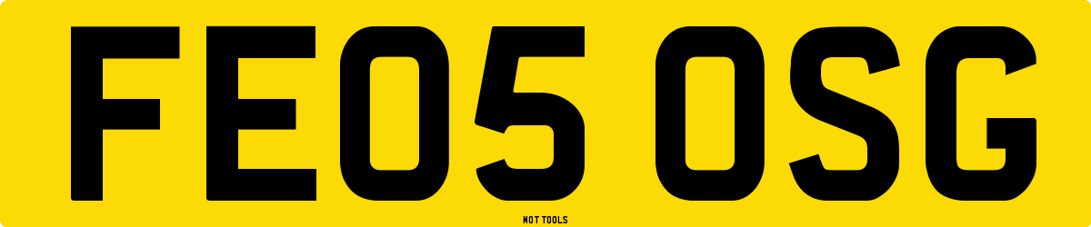 FE05OSG MOT Check