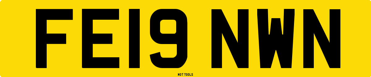 FE19NWN MOT Check