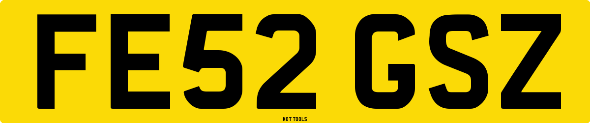 FE52GSZ MOT Check